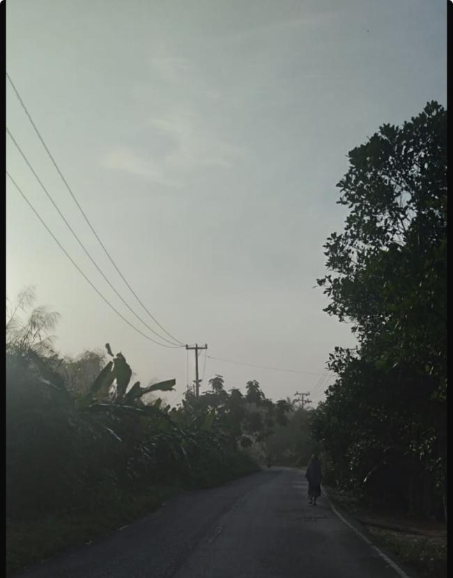 10 Tahun Gelap Gulita, Warga Parit 21 Tembilahan Desak Dinas Pertamanan Segera Pasang Lampu Jalan